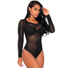 Long Sleeve Round Neck Mesh Bodysuit